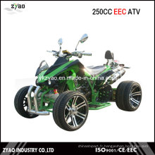 VTT chinois à vendre 250cc EEC Racing ATV Luxury